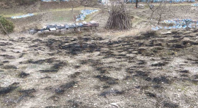 Kastamonuda çıkan yangında arı kovanları son anda kurtarıldı