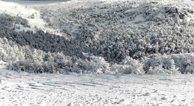 Kazdağları Milli Parkı kar yağışı nedeniyle geçici olarak ziyarete kapatıldı