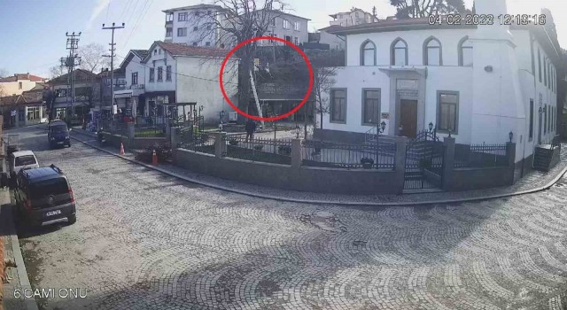 Kestiği ağaçtan düşerek hayatını kaybetti