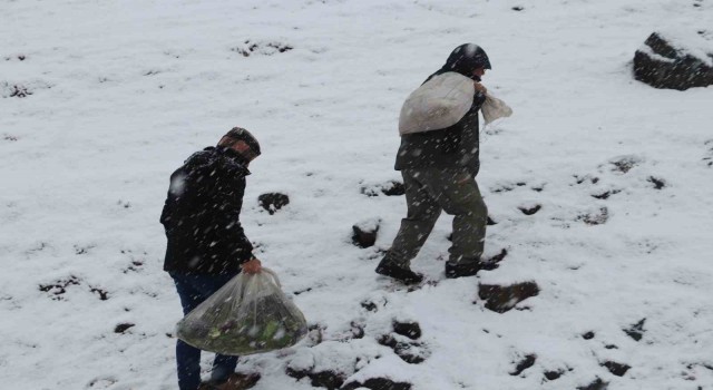 Kırsalda kar esareti devam ederken yaban hayvanları unutulmadı