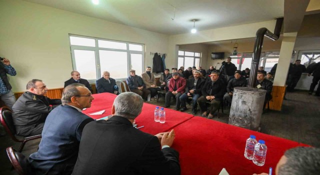Kocaeli Valisi Yavuzdan sokak köpekleri açıklaması