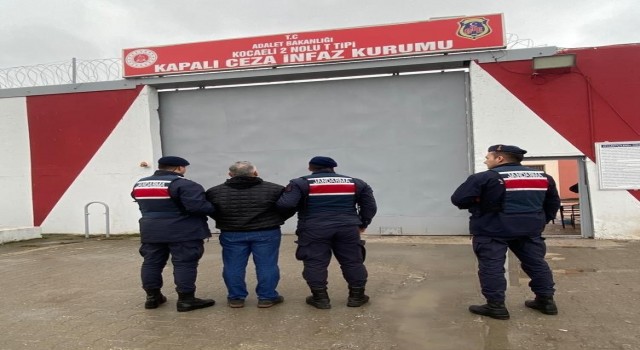 Kocaelide terör operasyonu: 1 tutuklama
