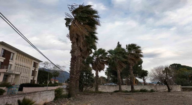 Köyceğizde rüzgar ve fırtına etkisini sürdürüyor