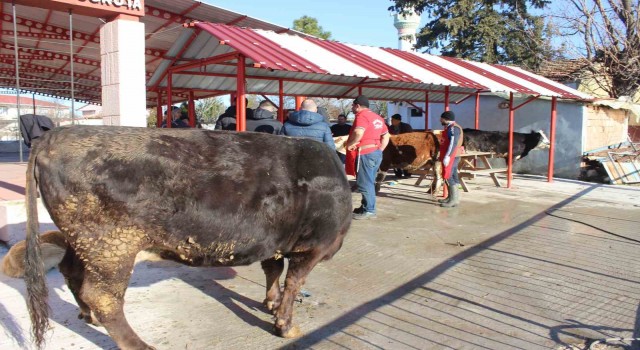 Köylü vatandaşlardan depremzedelere 2 ton sucuk