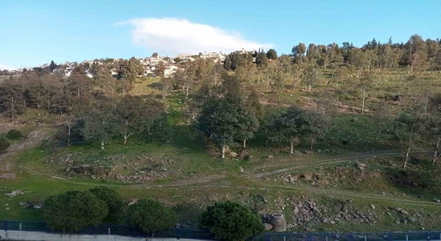 Koyunlar yalnız gelince şüphelendiler, cansız bedenini buldular