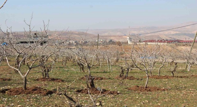 Kuraklık tedirgin ediyor: Umutlar mart ve nisan yağmurlarına kaldı