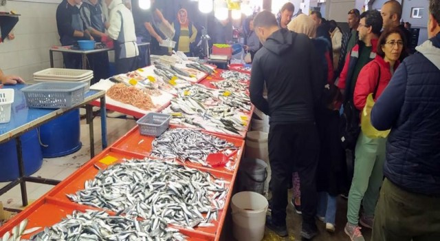 Kuşadasında su ürünleri denetimi yapıldı