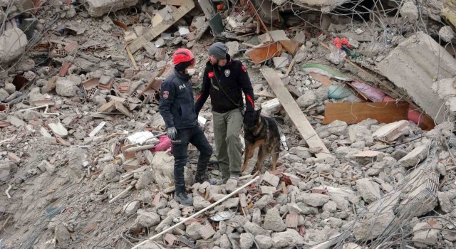 Malatyada arama kurtarma köpekleri devrede