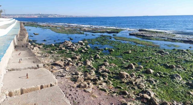 Marmara Denizi 25 metre çekildi: Depremle alakası yok
