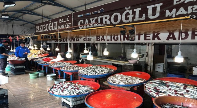 Marmarada hamsinin zayıf kalması fiyatlara yansıdı