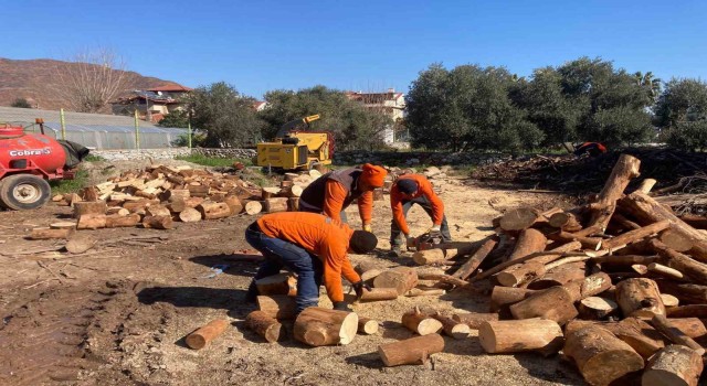 Marmaristen depremzedelere yakacak yardımı