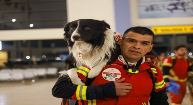 Meksika, meşhur arama kurtarma köpeklerini Türkiyeye gönderdi