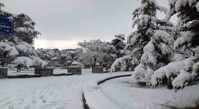 Meteoroloji uyardı: Samsuna kar geliyor