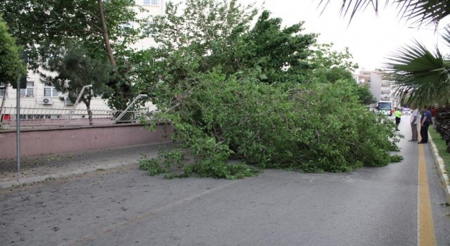 Meteorolojiden Aydına kuvvetli rüzgar ve fırtına uyarısı