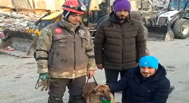 MSB: “Sıla gibi sahada görev yapan tüm can dostlarımıza; iyi ki varsınız, iyi ki bizimlesiniz”