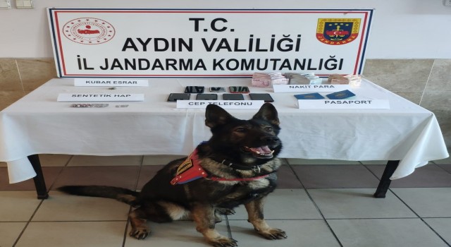 Nazillide fuhuş operasyonu