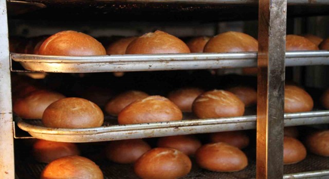 Okulda her gün üretilen 10 bin ekmek depremzedelere ulaştırılıyor