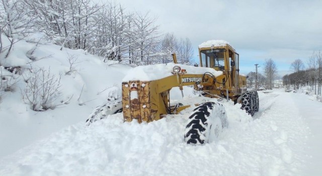 Orduda karla kapanan 197 mahalle yolu ulaşıma açıldı