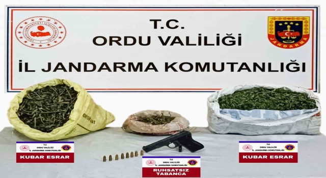 Orduda uyuşturucu ticareti yapan 1 kişi tutuklandı