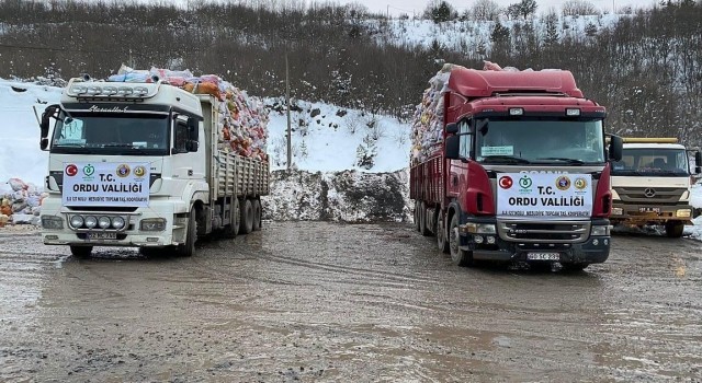 Ordudan deprem bölgelerine yardımlar sürüyor