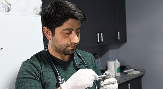 Osmaniye'de Yavru kediler enkaz altından sağ çıkarıldı