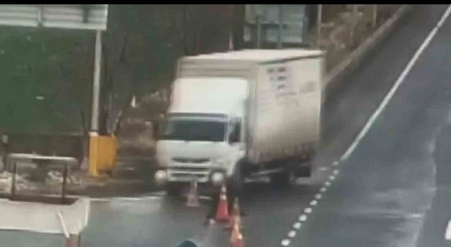 Otobüsün camına çarpan şahini duyarlı sürücü kurtardı, o anlar kamerada