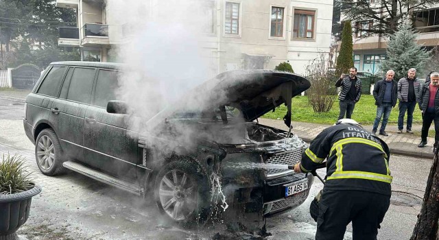 Park halindeki lüks cipte yangın çıktı