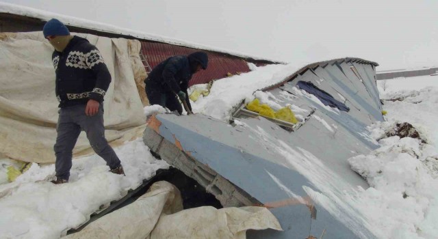 Patates deposu deprem sonrası çöktü