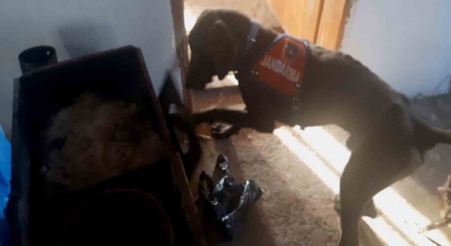 Patisiyle sobayı açan Kaput uyuşturucuyu buldu