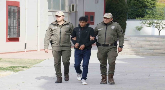 Polis, ata işkence eden gence at arabasındaki un çuvalından ulaştı