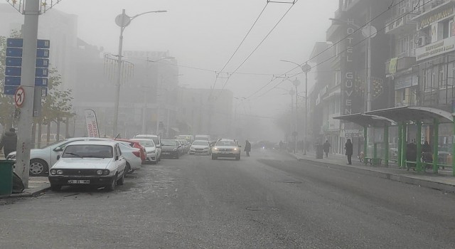 Şanlıurfada yoğun sis etkili oldu