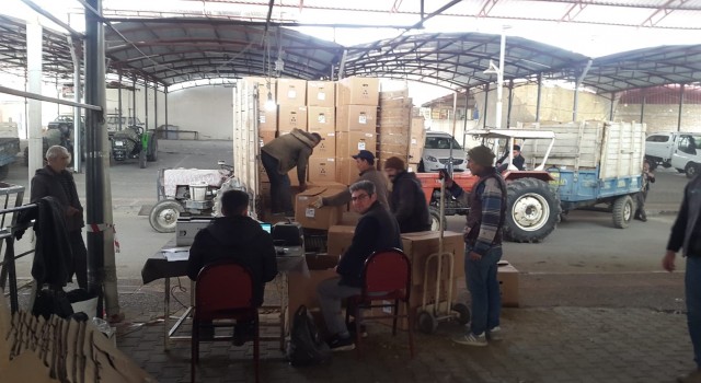 Sarıgölde tütün alımları başladı