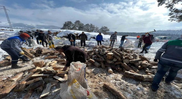 Sarıkamışın odunları depremzedeleri ısıtacak