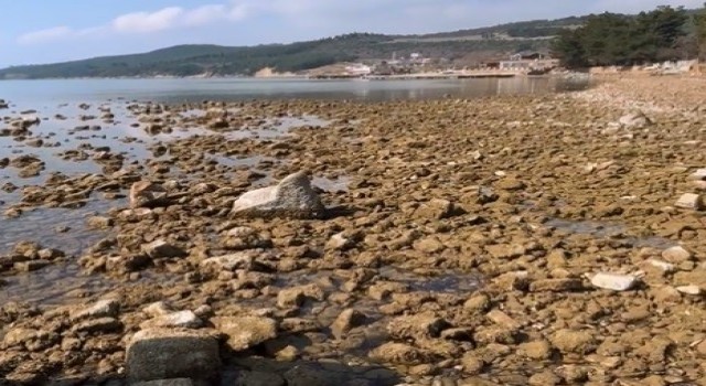 Saros Körfezinde deniz suyu çekildi