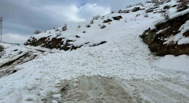 Siirtte çığ düşmesi sonucu öğrenci ve öğretmenler yolda mahsur kaldı