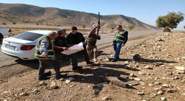 Siirtte depremden etkilendiği değerlendirilen yaban hayvanlarının korunması için av yasağı başladı