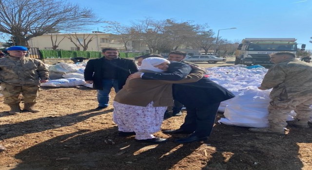Siirtte depremzedeler için odun istifleyen 68 yaşındaki Kamile nine duygulandırdı