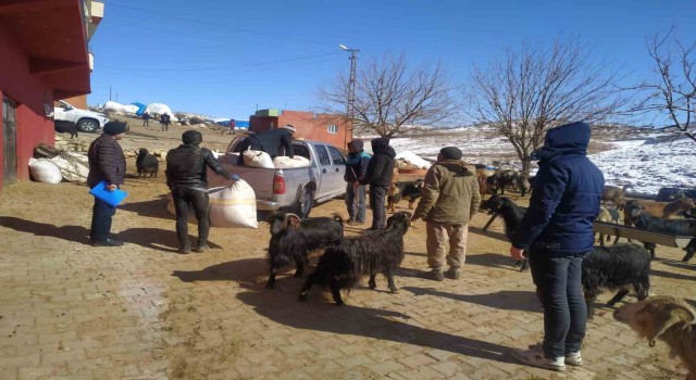 Siirtten deprem bölgesine 100 ton yem ve saman gönderildi