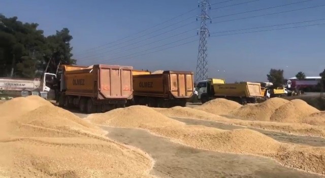 Siirtten giden ekip Hatayda şantiye kurdu