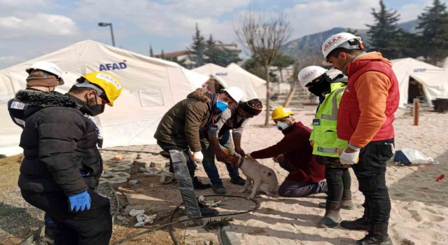 Sinoptan afet bölgesine mama yardımı