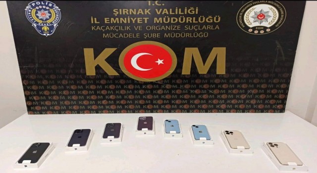 Şırnakta asayiş ve kaçakçılık operasyonu: 49 gözaltı