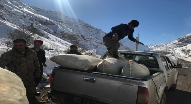 Şırnaktan deprem bölgesine yem desteği