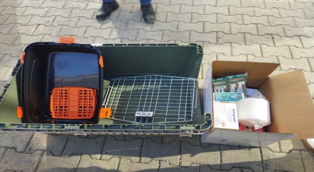 Tepebaşı Belediyesinden organize patilerin kampanyasına destek