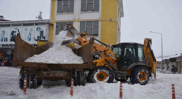 Tercanda kar temizliği