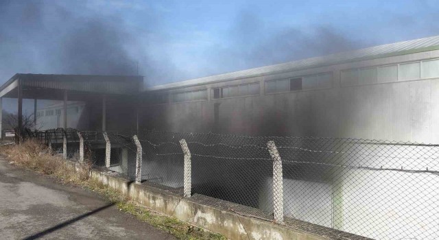 Trabzonun Arsin ilçesinde bir depoda çıkan yangın ve yoğun duman paniğe neden oldu