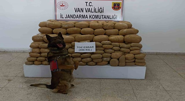 Vanda 486 kilogram toz esrar ele geçirildi