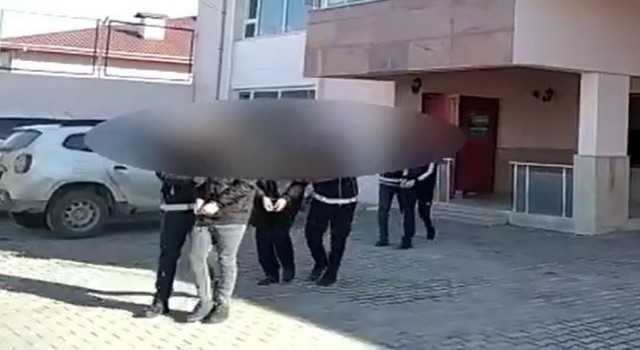 Vanda 7 organizatör tutuklandı