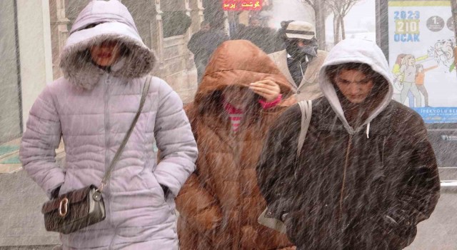 Vanda kar yağışı başladı