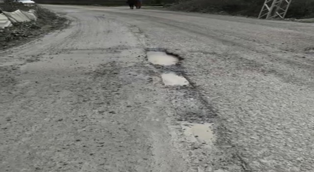 Vatandaşlar yollardaki çukurlara tepki gösterdi