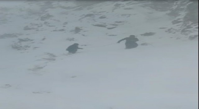 VEDAŞ ekibi çığ ve kurt sürüsü tehlikesi ile karşılaşabiliyor